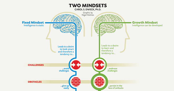 Tarik ESSAADI's Highlights On 'Fixed Vs. Growth: The Two Basic Mindsets ...