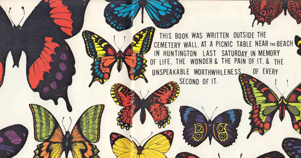 The Magic Box: A Whimsical Vintage Children's Book for Grownups