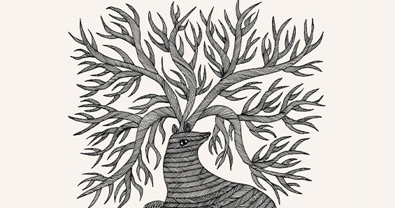 The Secret Life of Trees: Stunning Sylvan Drawings by Indigenous